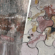 delhi acid attack 80x80