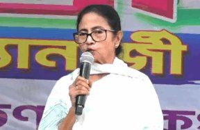 mamata a