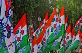 TMC Flags
