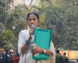mamata banerjee aaaa