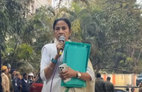 mamata banerjee aaaa