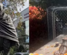 australia gandhi statue