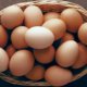 egg price 80x80