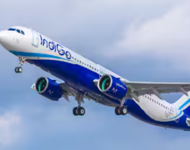 indigo