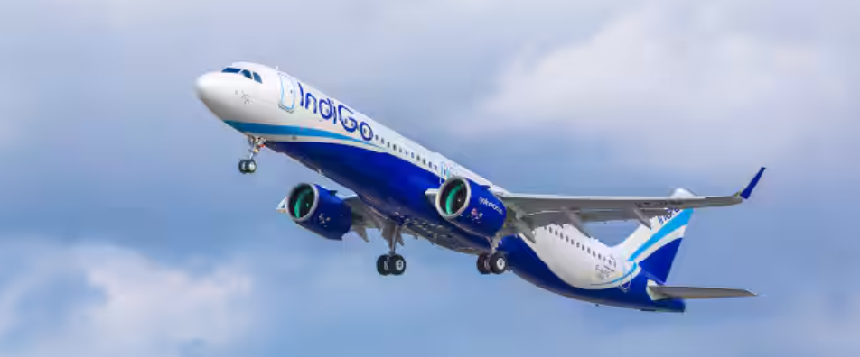 indigo