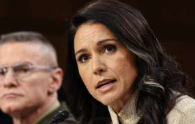 tulsi gabbard