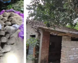 bhangar bomb recover