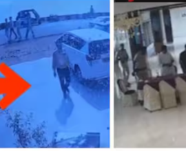 diamond viral video