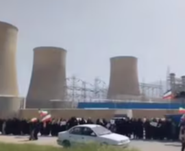 iran human shield