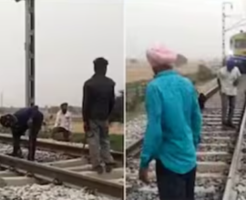 punjab 1