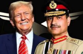 trump and munir