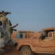 mali 12 80x80