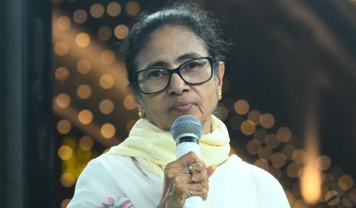 mamata banerjee pain edit