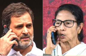 congress and mamata