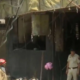 fire breaks out 1