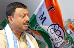 partha bhowmik 1