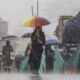 heavy rain in north bengal edit 80x80