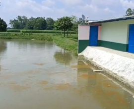 pradhan house