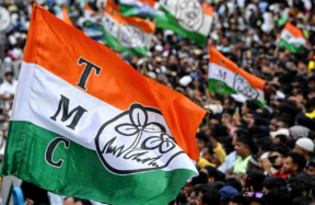 tmc flags 12