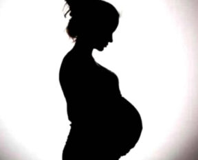 Allahabad High Court